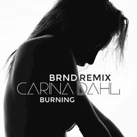 Burning (BRND Remix)