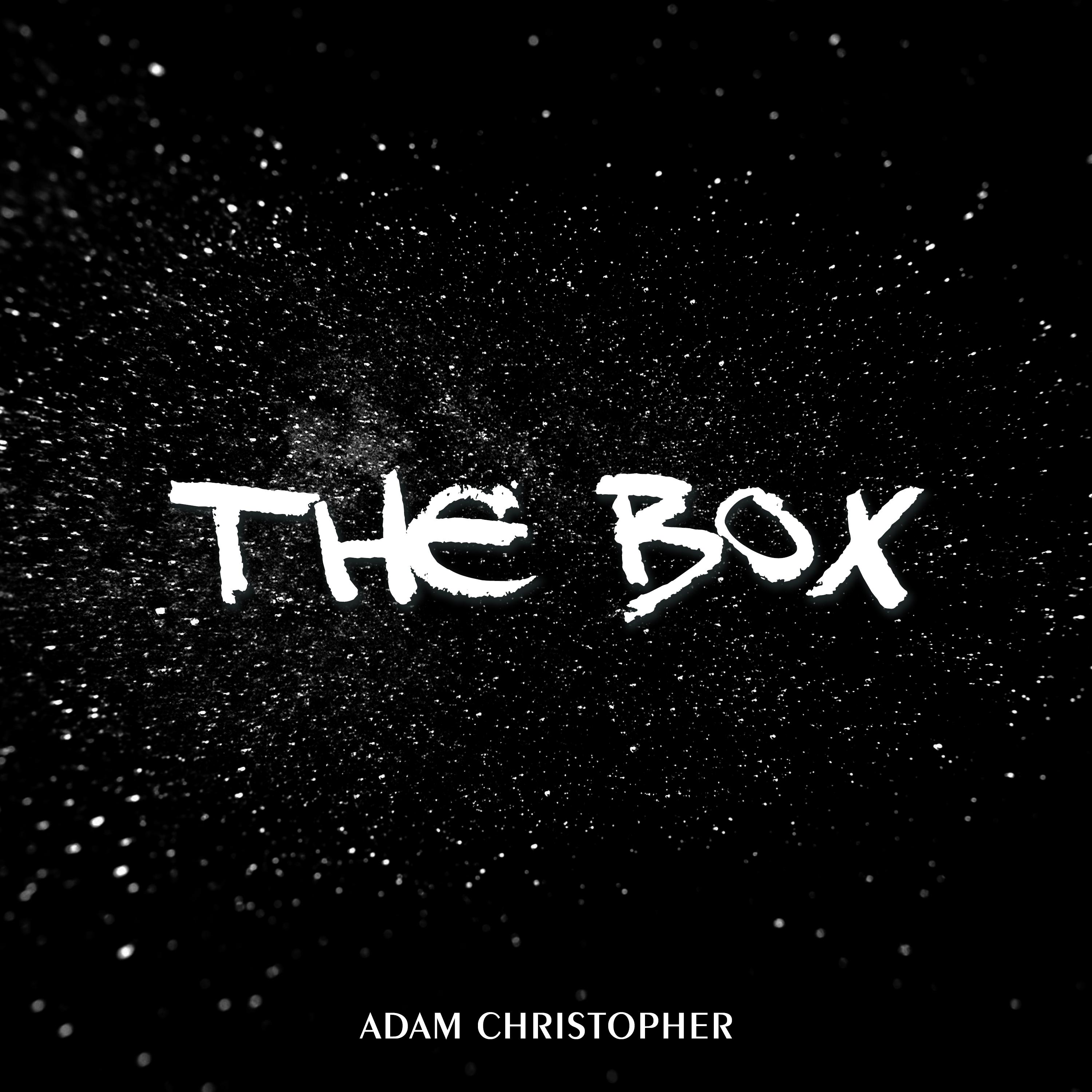 The Box (Acoustic)