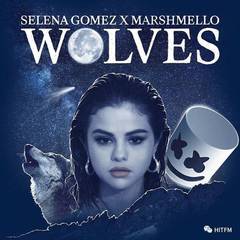 Wolves（翻自：Selena Gomez/Marshmello）