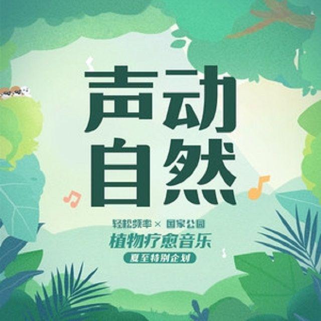 植物疗愈音乐特辑