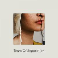 Tears of Separation||《焚书泪烬》填词伴奏