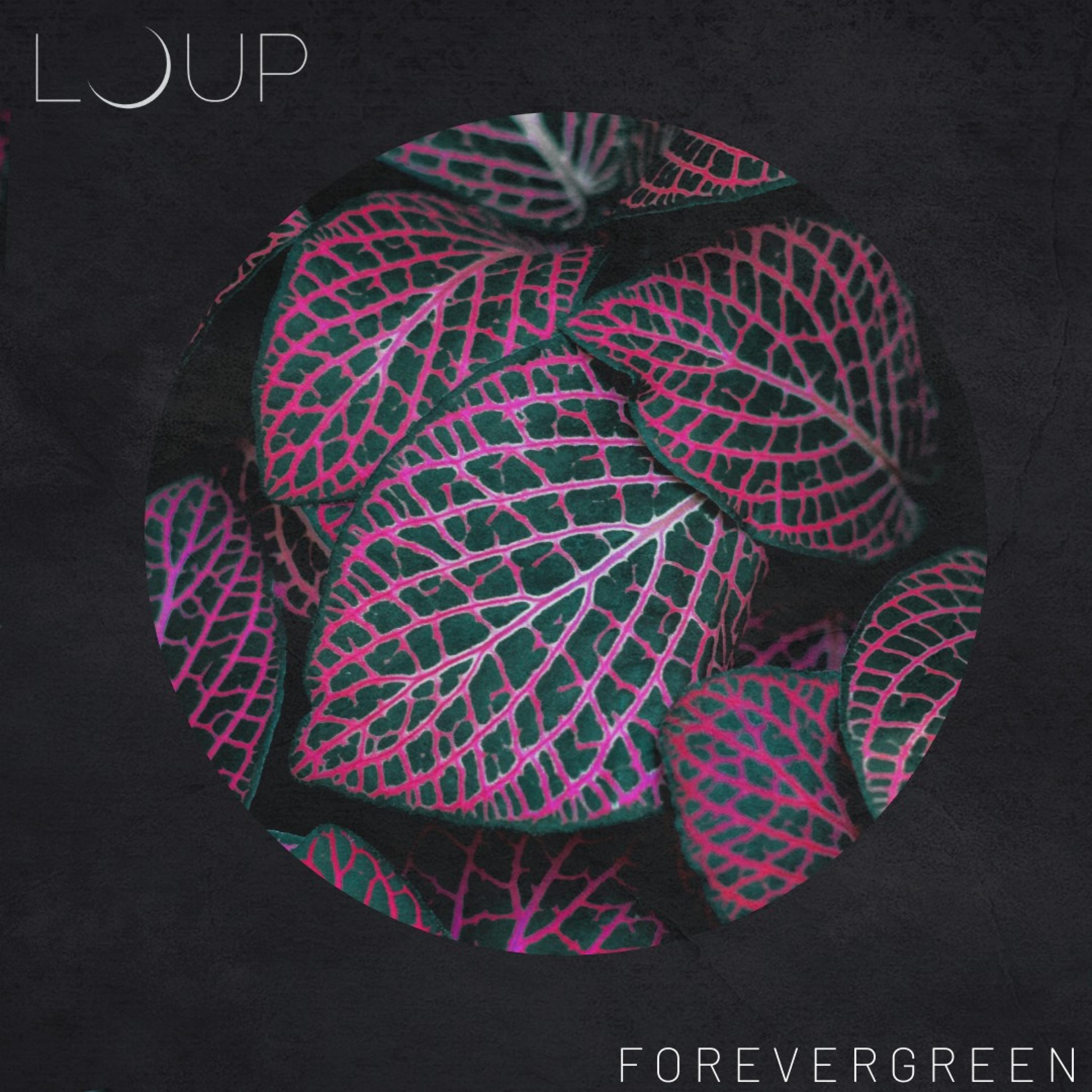 Forevergreen
