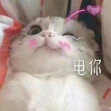 只有可爱的人才能看到歌名哦