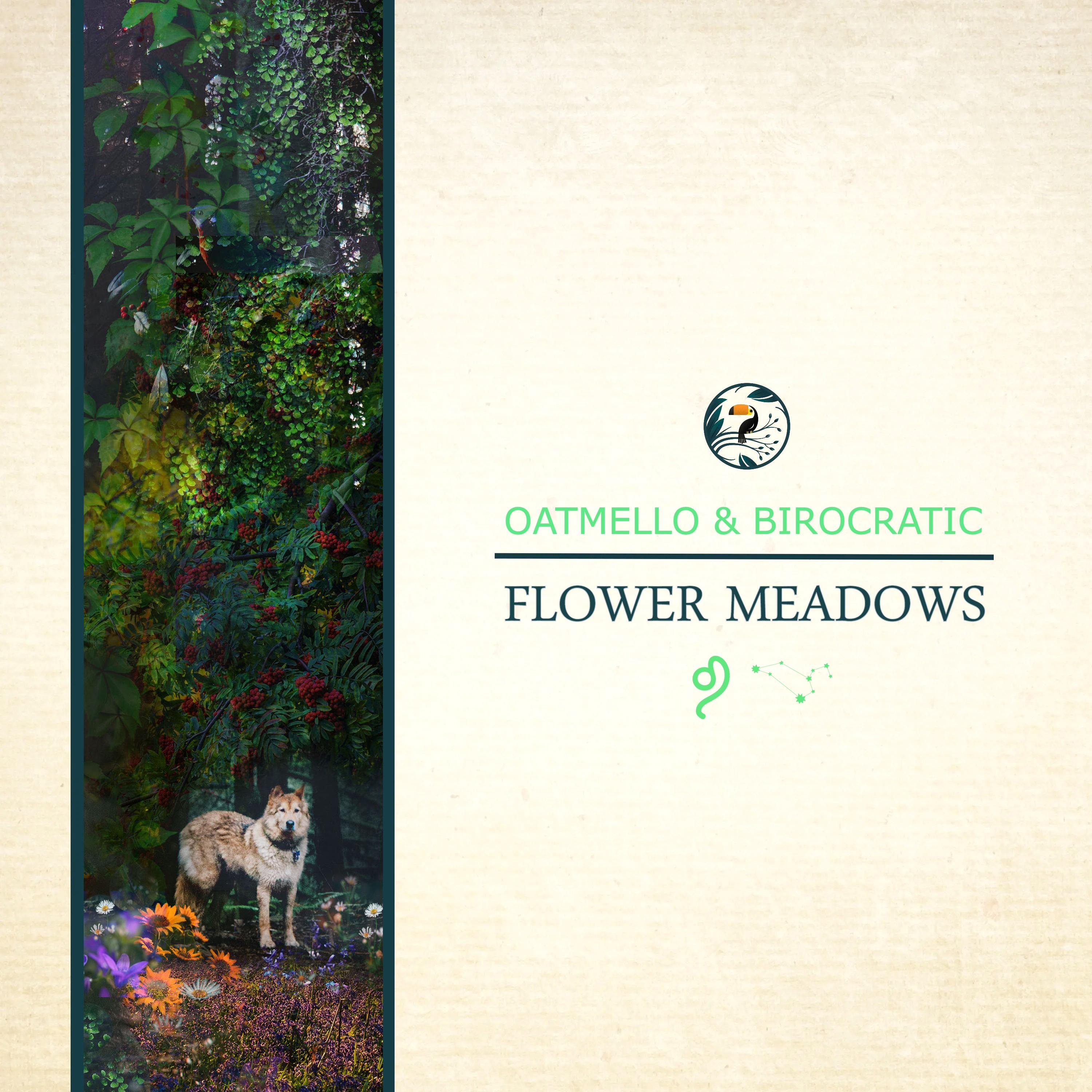 Flower Meadows
