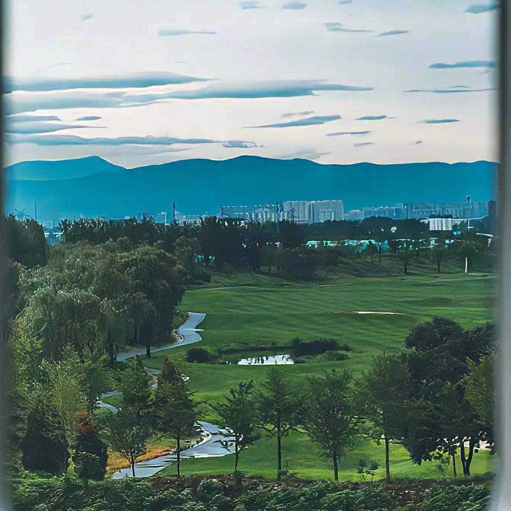 治愈系丨那些倍受好评的纯音乐