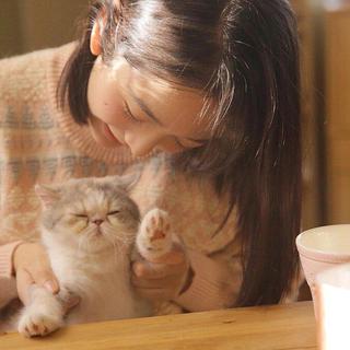 民谣｜猫垂涎秋刀鱼 而我心悦你