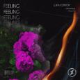 Feeling