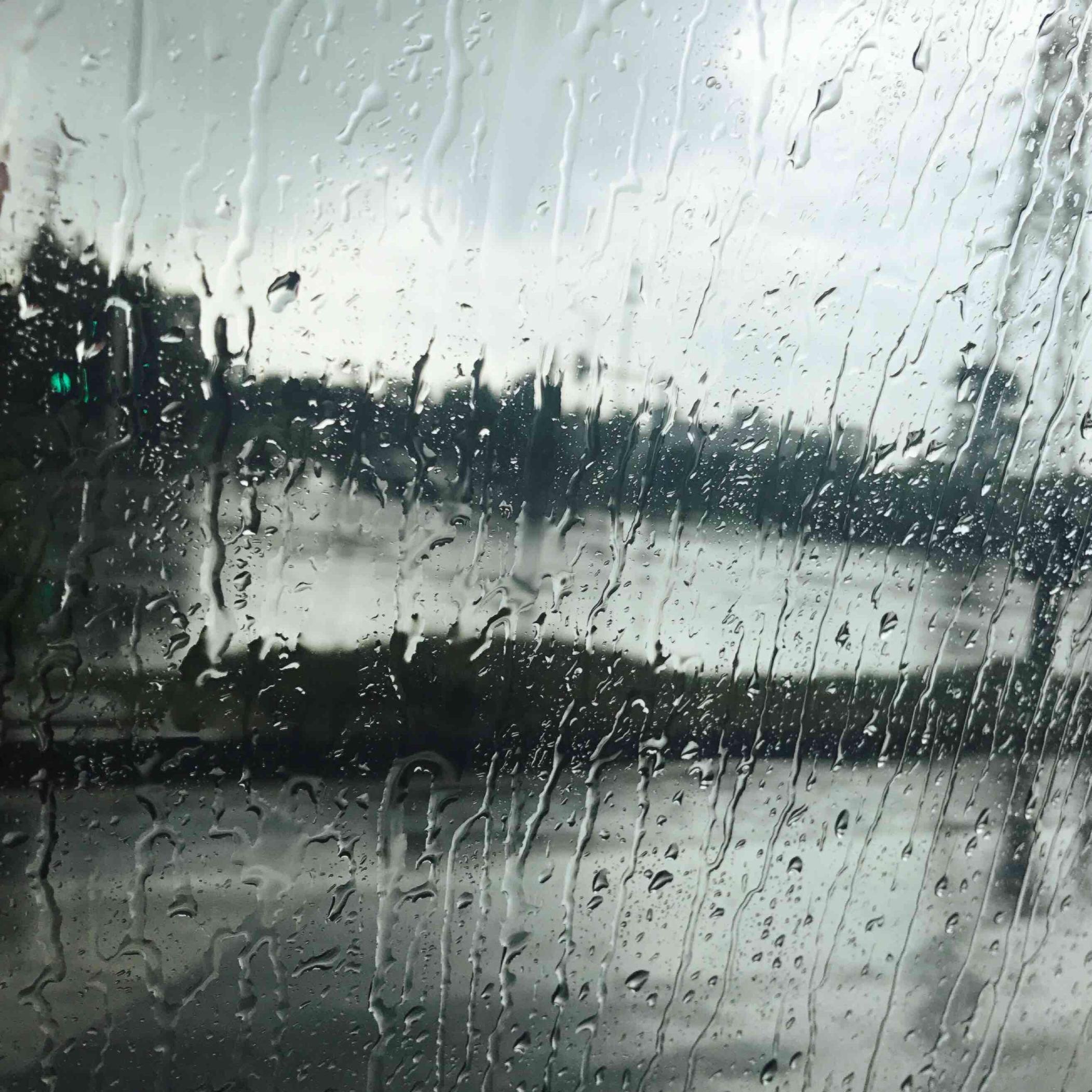 关于大雨后的一切（About everything after the heavy rain）