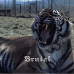 Brutal专辑