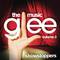 Glee: The Music, Volume 3 Showstoppers专辑