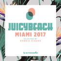 Juicy Beach - Miami 2017 (Selected by Robbie Rivera)专辑