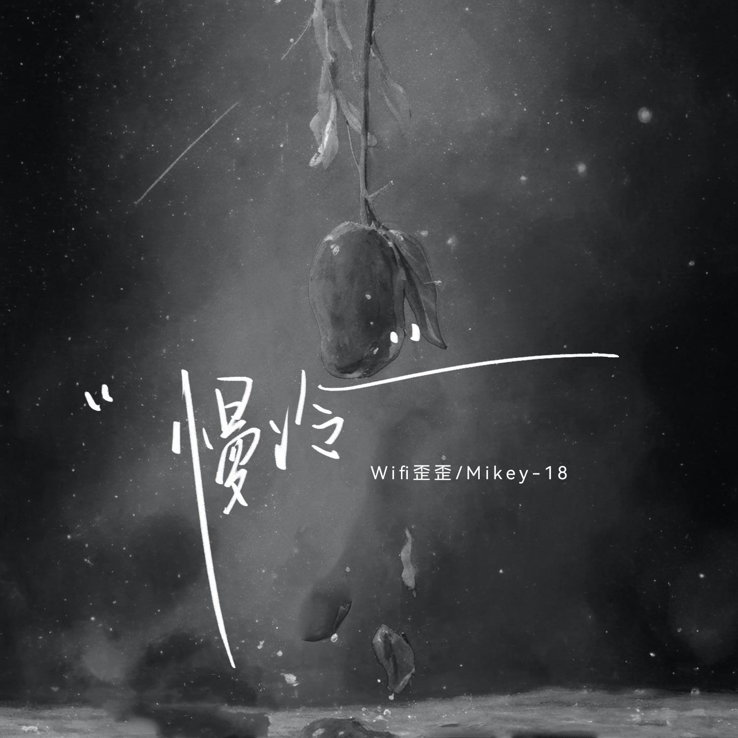 DJ小玉歌曲封面