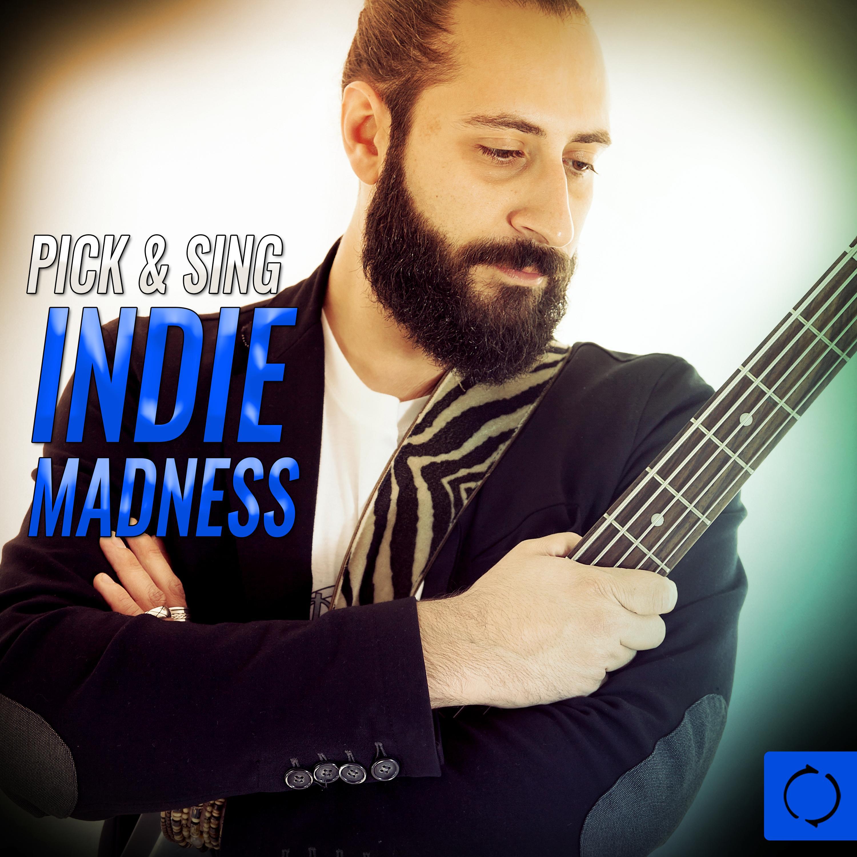 Pick & Sing Indie Madness专辑