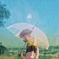 雨