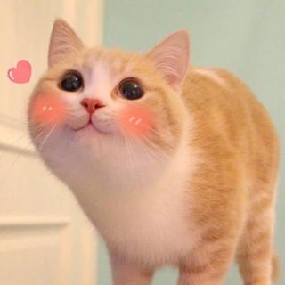丧中加点甜