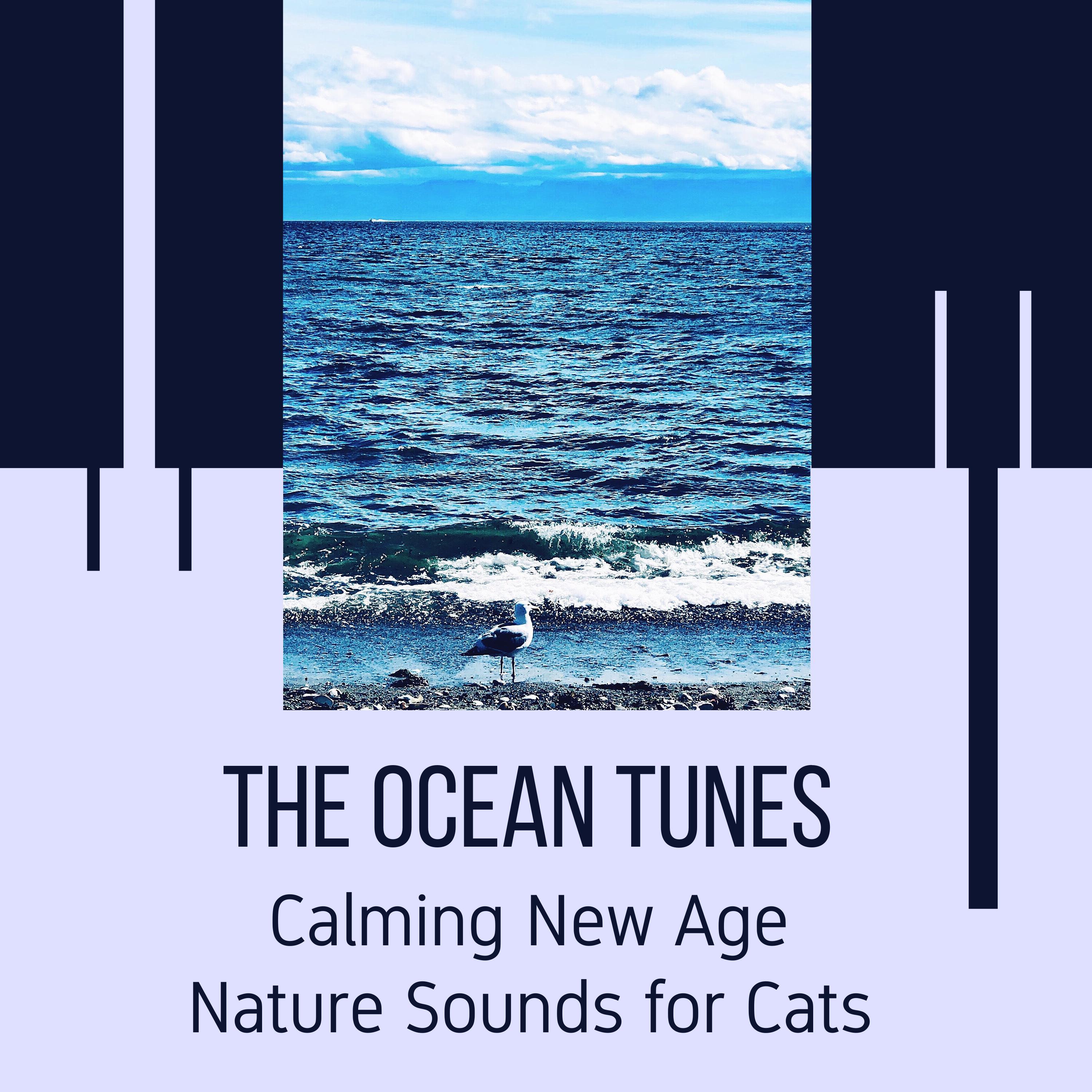 Ocean Birds Nature Music - Random Ocean Waves
