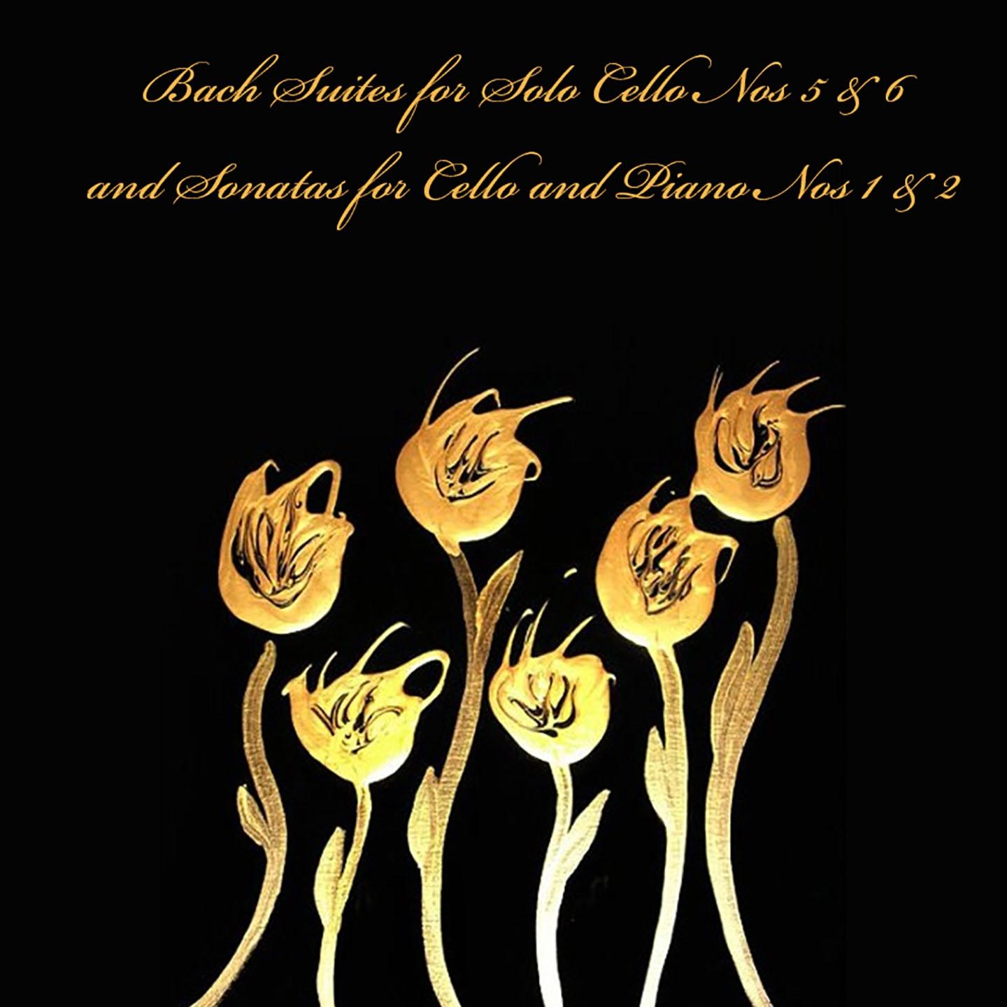 Suite for Solo Cello No. 5 in G Major, BWV 1011: II. Allemande