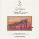 Beethoven: Piano Sonata No. 9 in B-Flat, Op. 106 "Hammerklavier":专辑