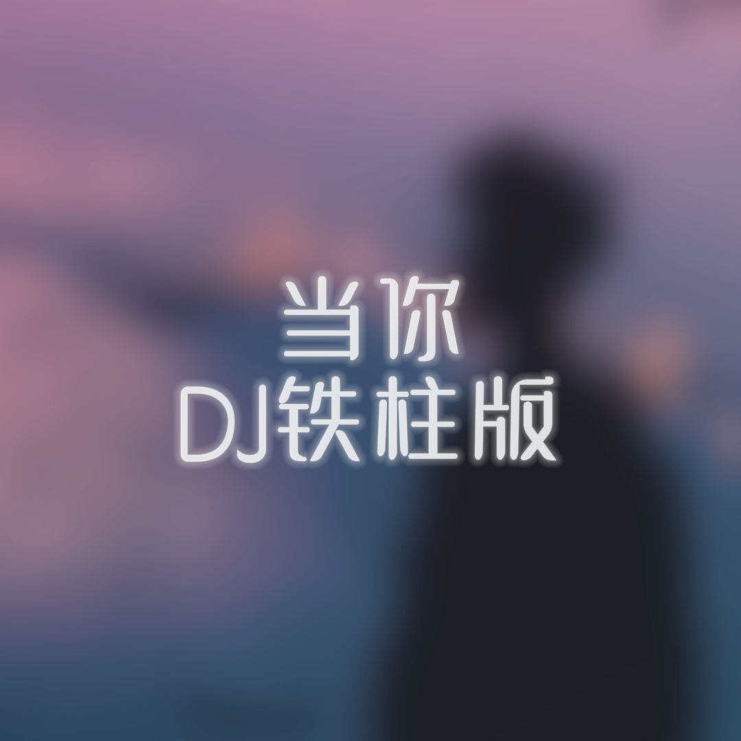 当你（DJ铁柱版）专辑