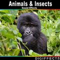 Animals & Insects Sounds Effects