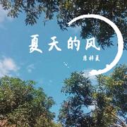 夏天的风 （温暖版）