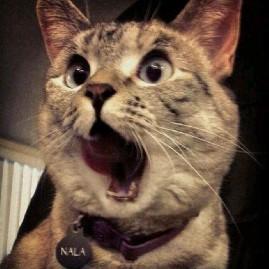 鬼畜闹钟铃声全集 | 在线播放 | 网易云音乐