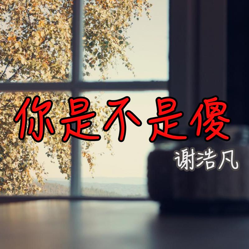 你是不是傻 (Demo)专辑