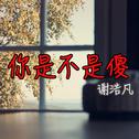 你是不是傻 (Demo)专辑