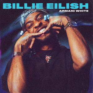 Billie Eilish - I Didn_t Change My Number 【inst.】