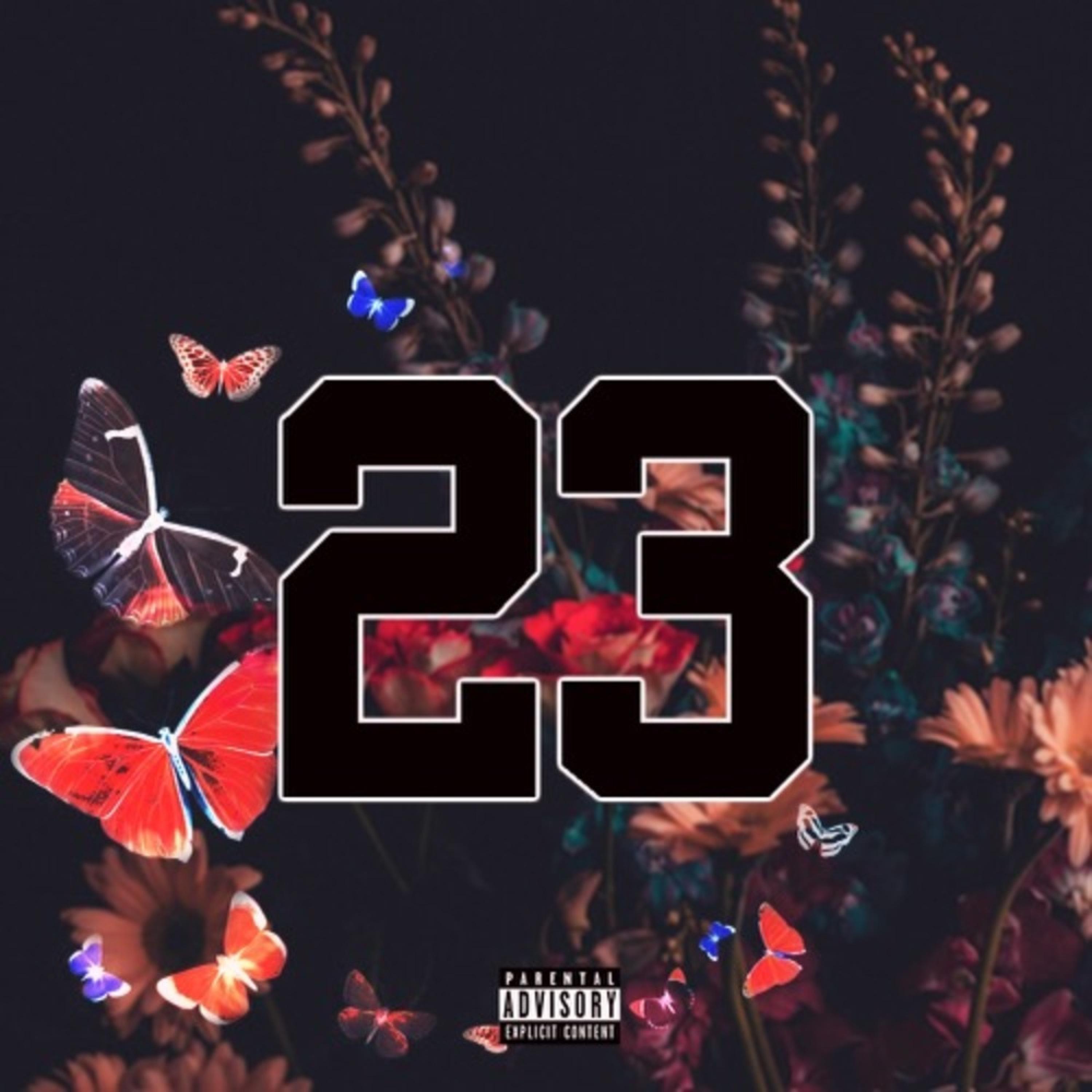 23