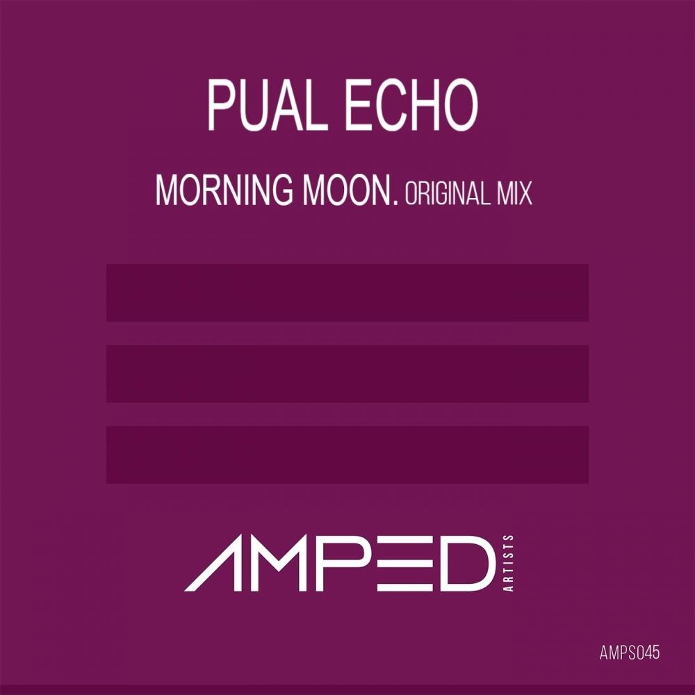 Morning Moon