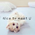 Nice to meet U