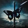 A. Y. Lee - EASE MY MIND (INSTRUMENTAL)