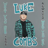 Without You - Luke Combs and Amanda Shires (Pr Instrumental) 无和声伴奏