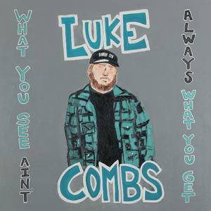Without You - Luke Combs and Amanda Shires (Pro Karaoke) 带和声伴奏 （降2半音）