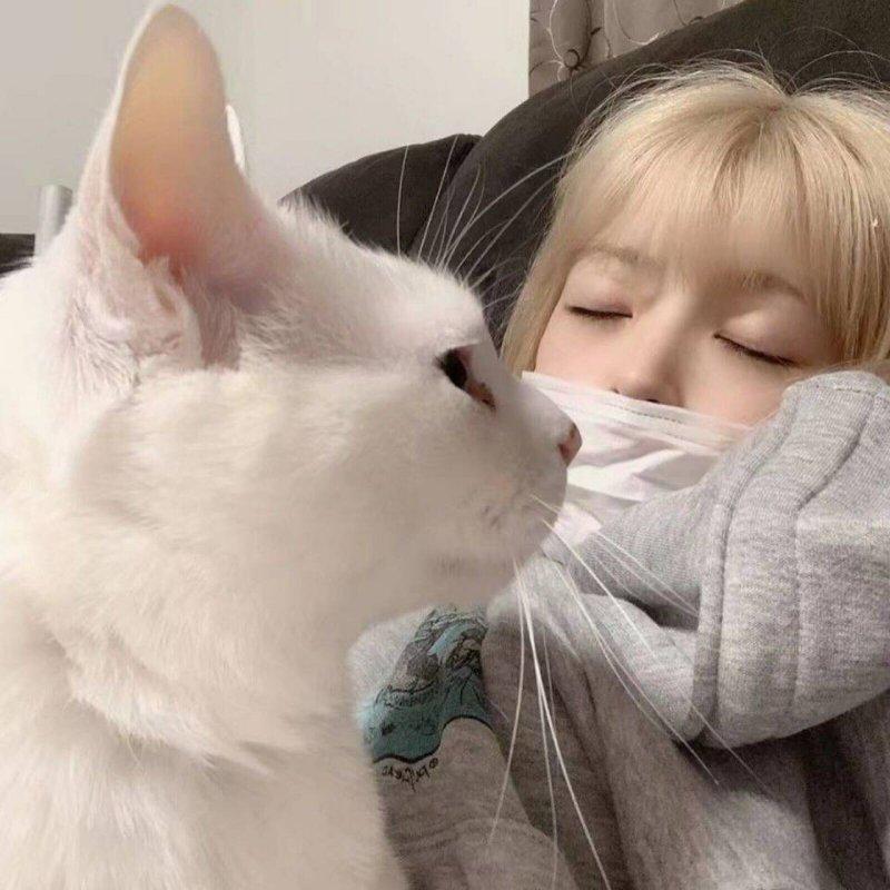 坠(cover房子帆)(1)