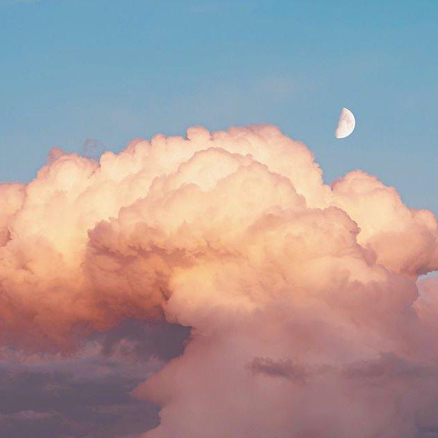 小陈一定要上岸！ | 在线播放 | 网易云音乐