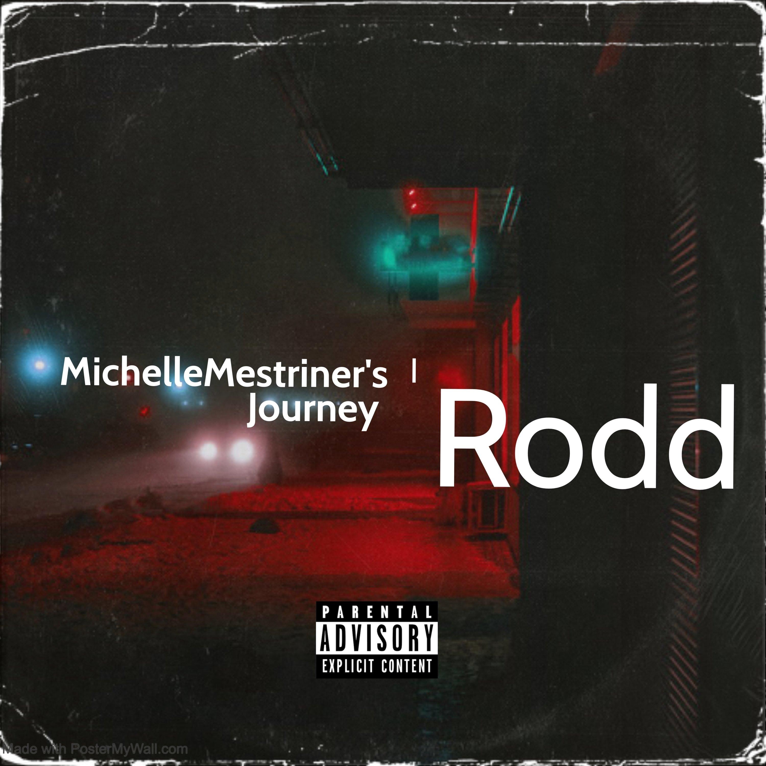 Michelle Mestriner's Journey