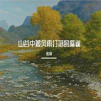 张闯-山谷中被风雨打落的麻雀