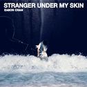 Stranger Under My Skin专辑