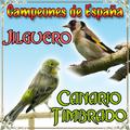 Canario Timbrado y Jilguero, Campeones de España