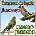 Canario Timbrado y Jilguero, Campeones de España专辑