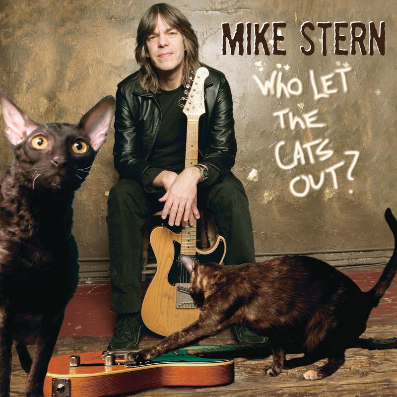 Who Let the Cats Out