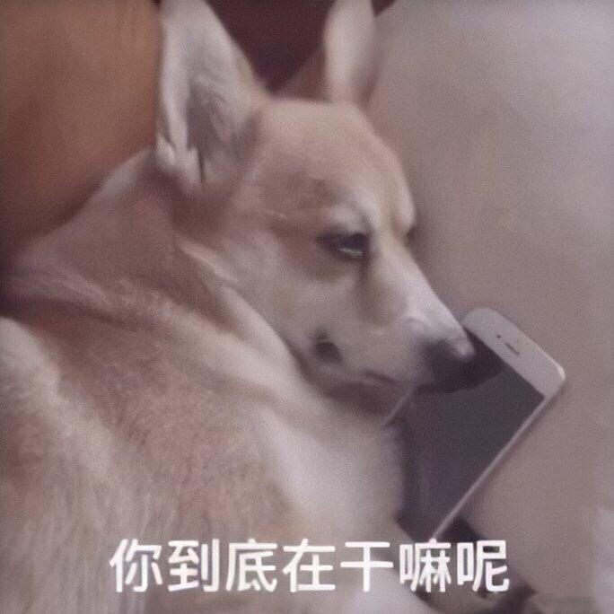 痂专辑