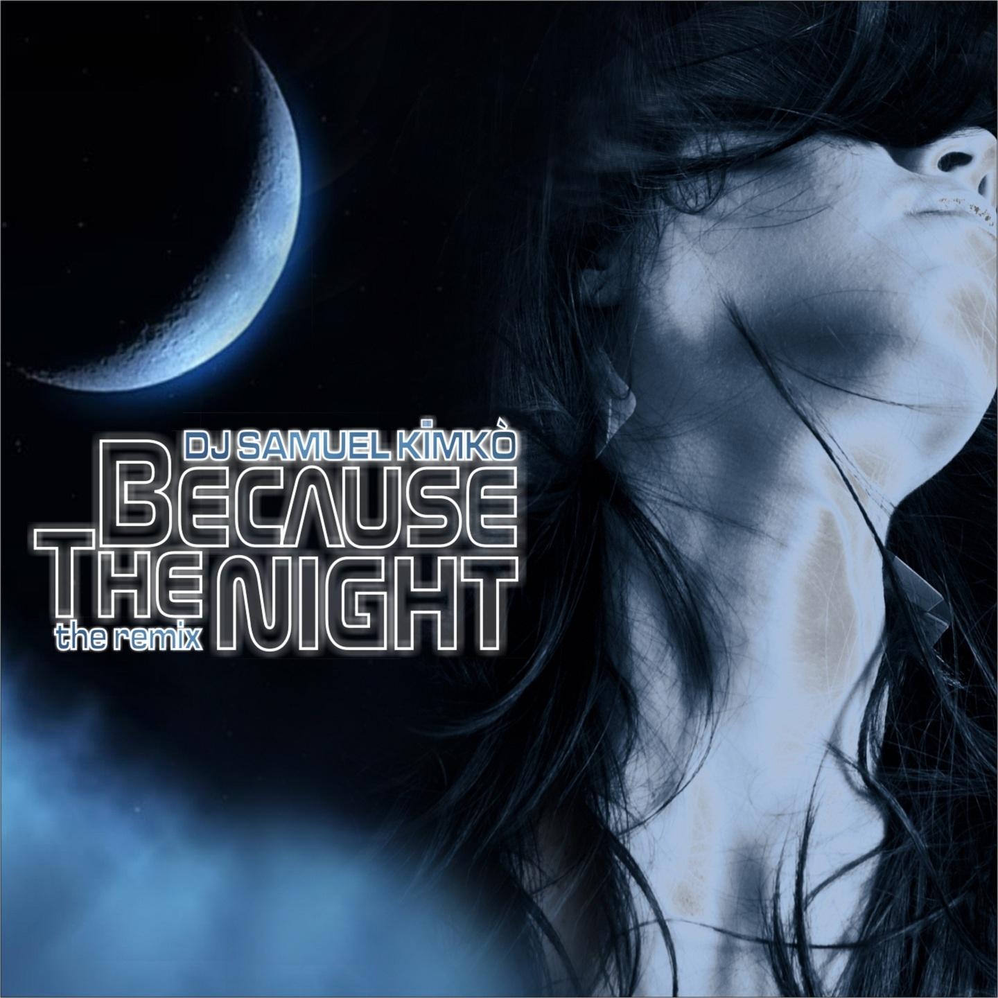 Because the Night (Porno Radio Mix)