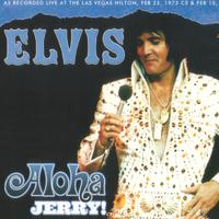 I Can t Stop Loving You - Elvis Presley (karaoke)