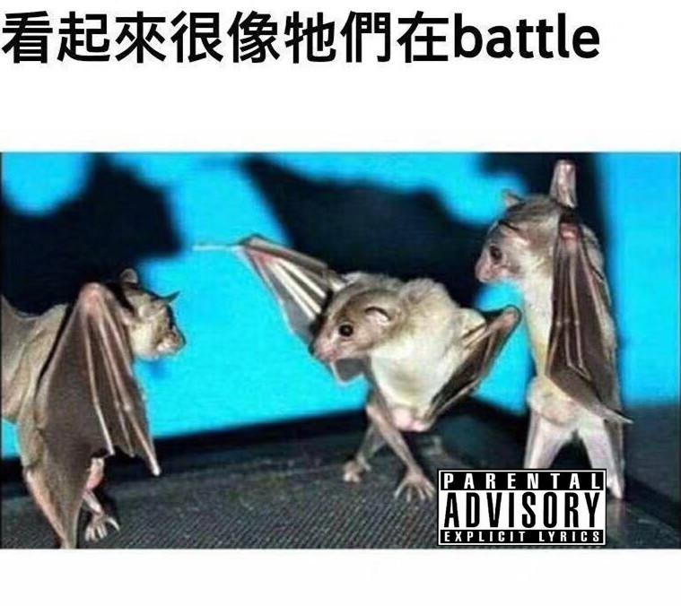 些几专辑