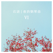 夜的钢琴曲VI