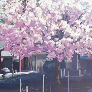 from 鲨鱼机长