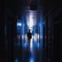 臻若馬